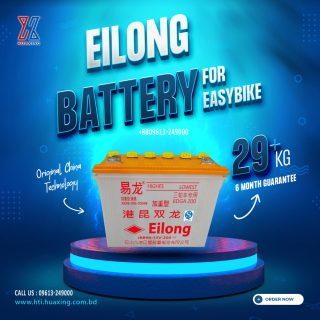 Eilong Battery for Easybike